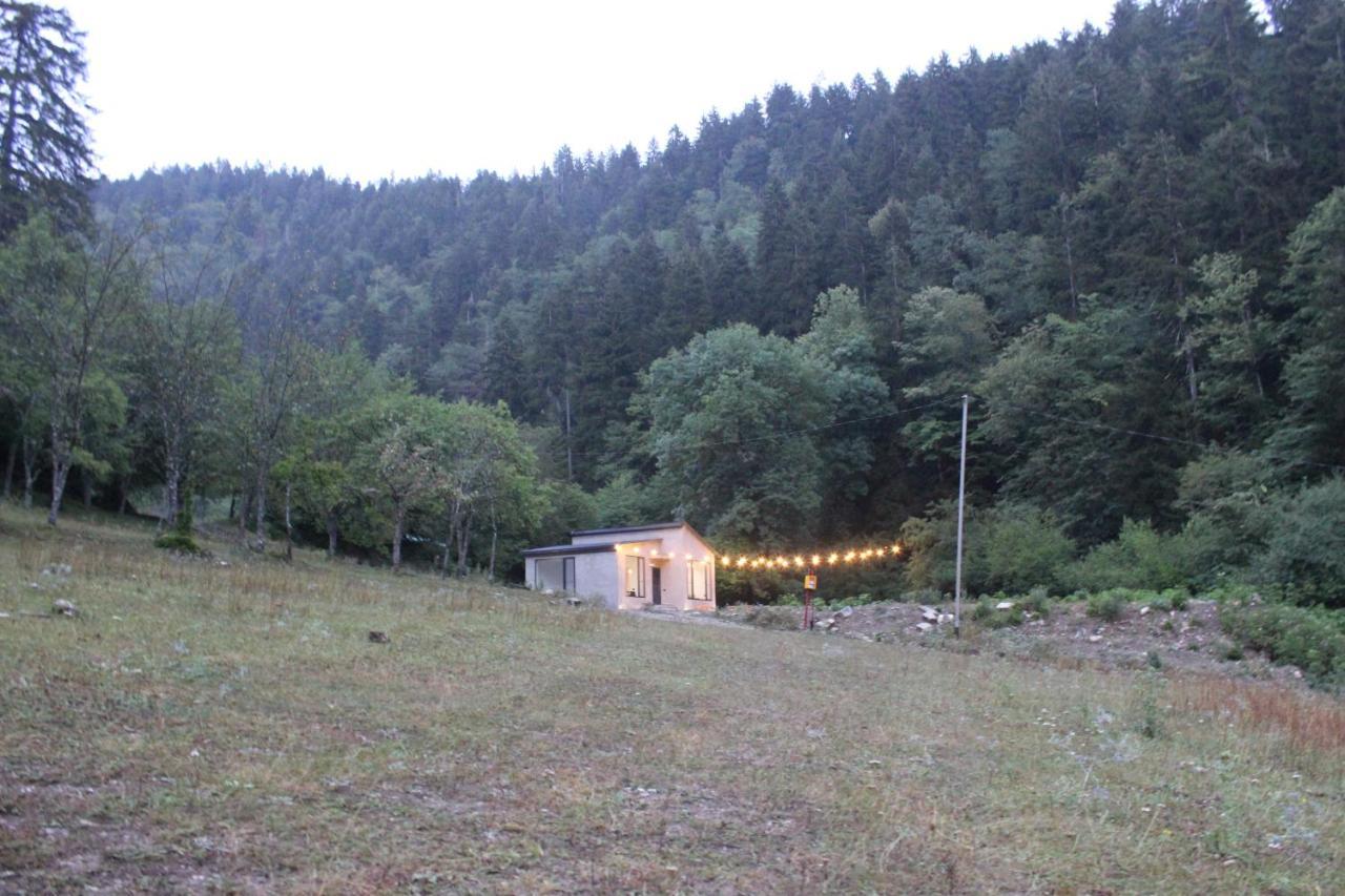 Cozy House In The Forest Borjomi Exterior photo