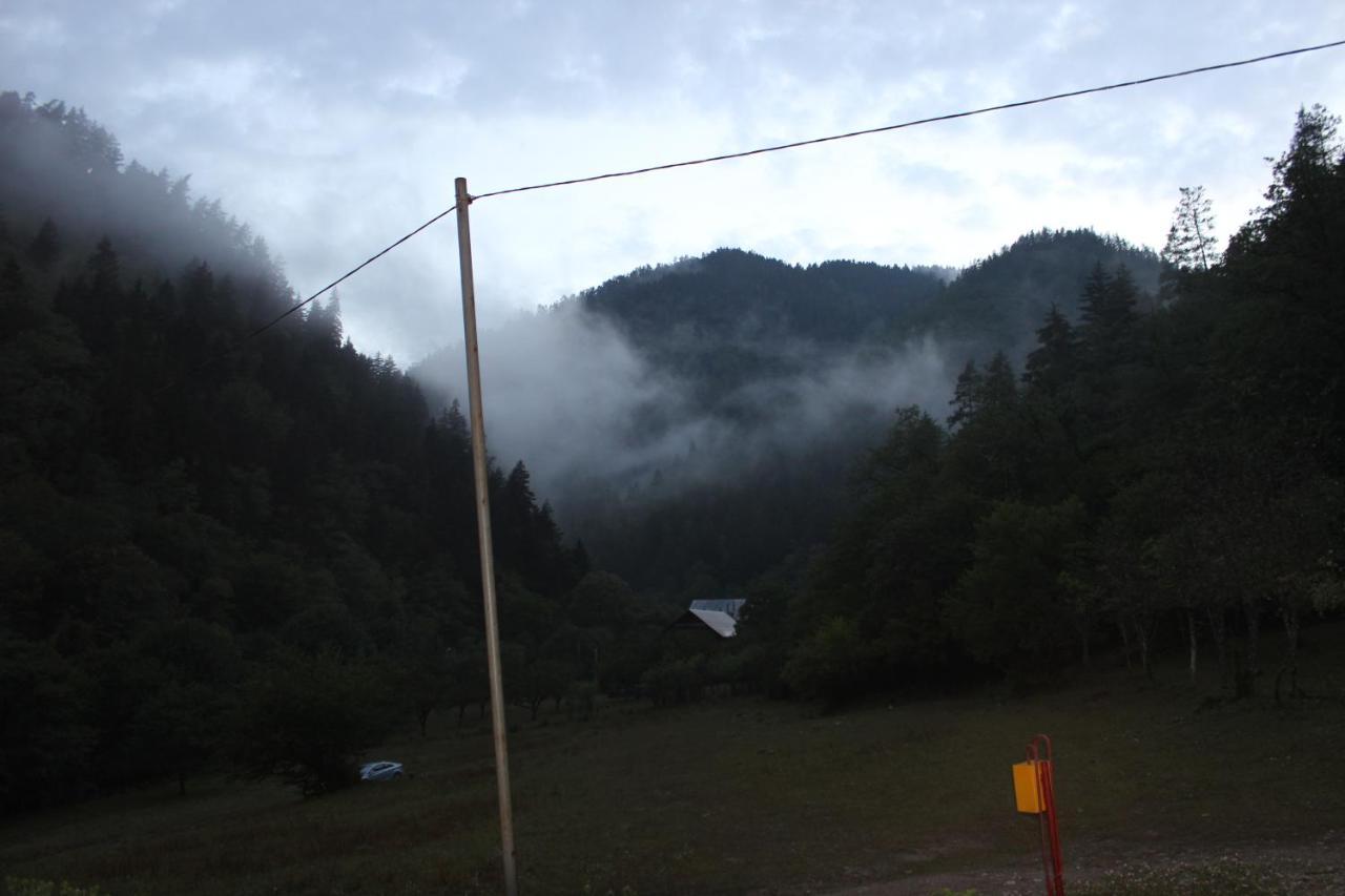 Cozy House In The Forest Borjomi Exterior photo