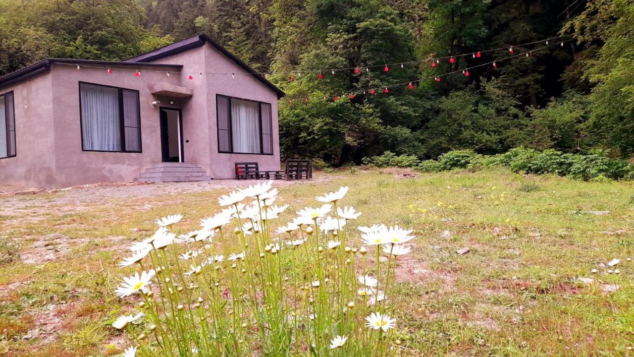 Cozy House In The Forest Borjomi Exterior photo