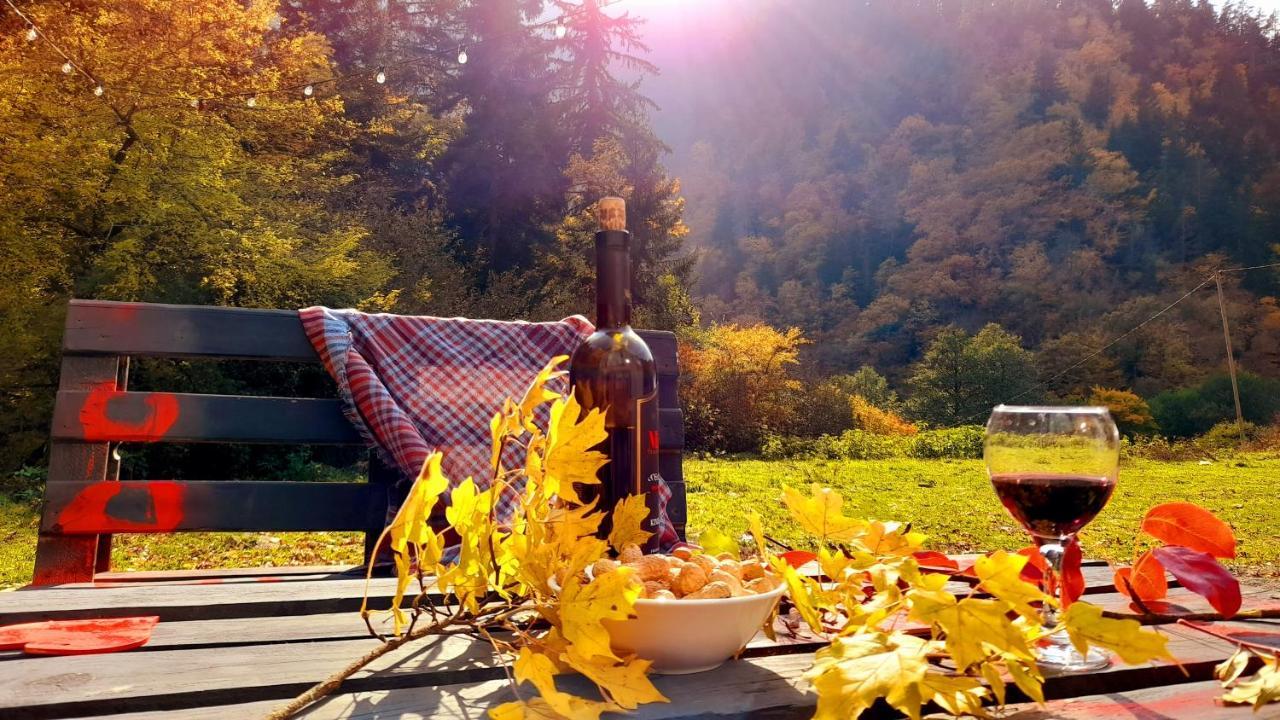 Cozy House In The Forest Borjomi Exterior photo