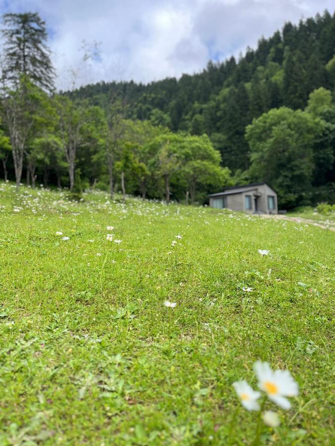 Cozy House In The Forest Borjomi Exterior photo