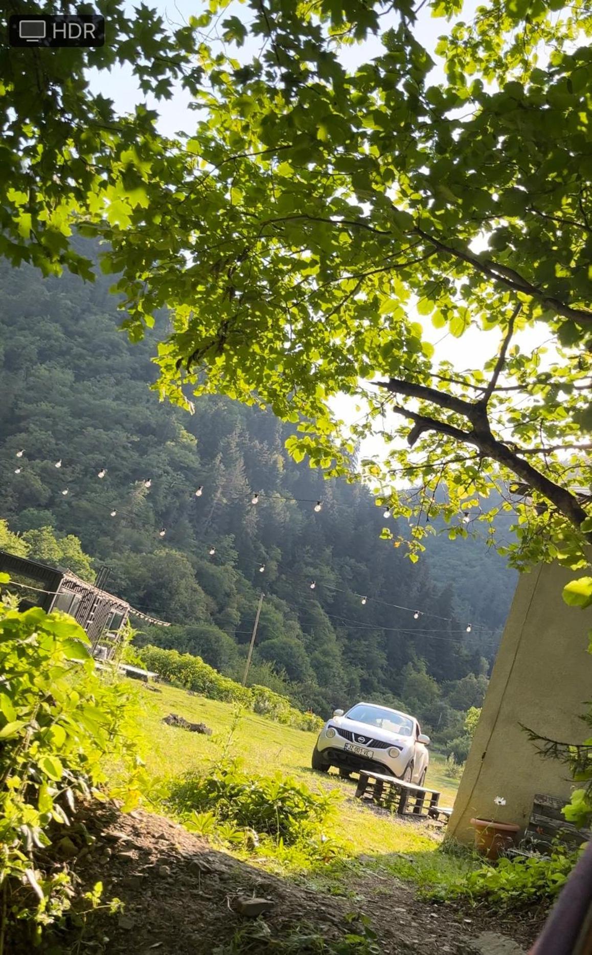 Cozy House In The Forest Borjomi Exterior photo
