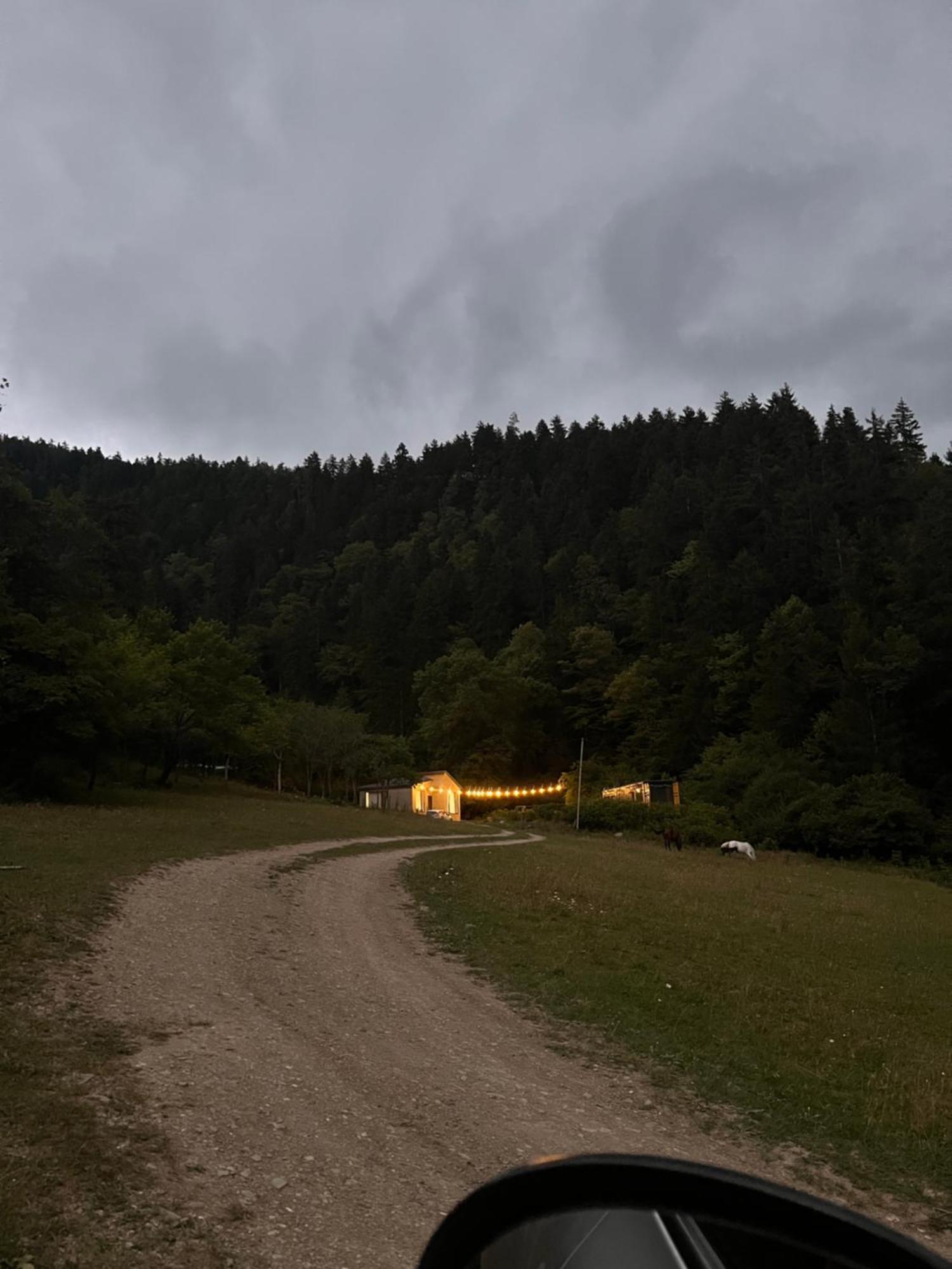 Cozy House In The Forest Borjomi Exterior photo